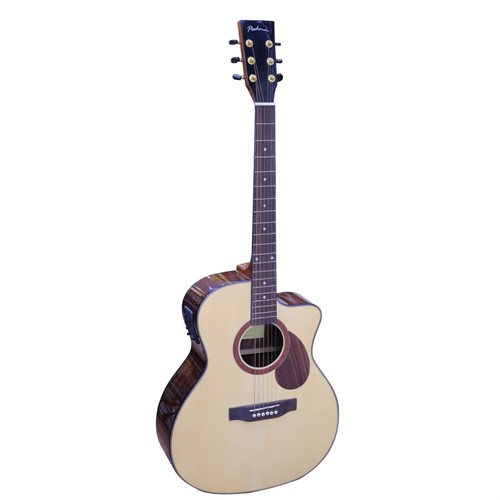 Đàn Guitar Acoustic Poshman N200EQ